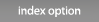 Index Option