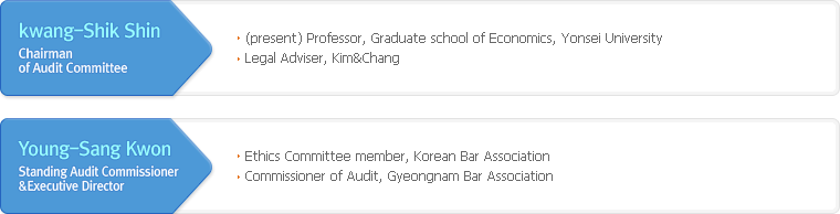 Audit Committee Organization