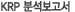 KRP 분석보고서