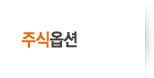 개별주식 옵션