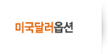 미국달러 옵션
