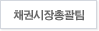 채권시장총괄팀